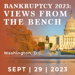 VIEWS FROM THE BENCH